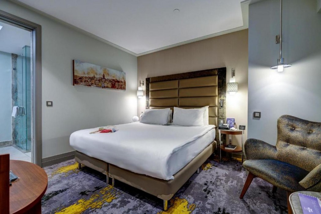 The Artisan Hotel Istanbul - MGallery Collection 18/62