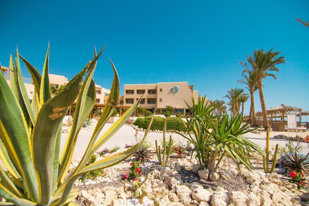 The Breakers Diving and Surfing Lodge in SOMA BAY