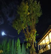 Serena Shigar Fort Residence 17/55